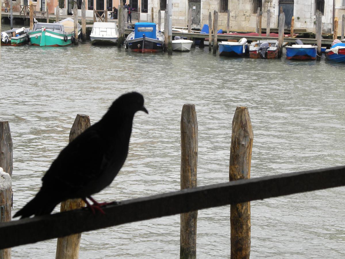 La Felice Canal Grande * Venedig